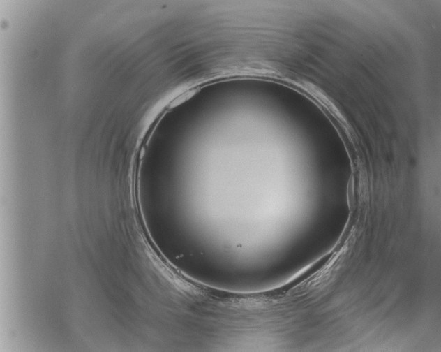 X0000069391246200605192206