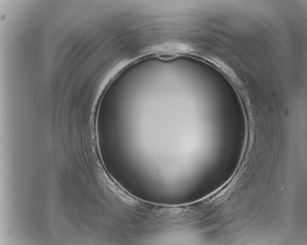 X0000069391248200605192206