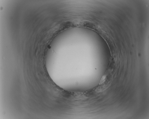 X0000069391249200605192205