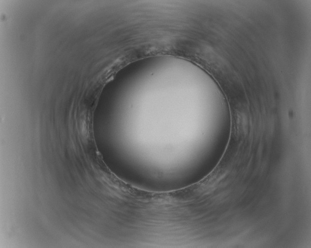 X0000069391250200605192205