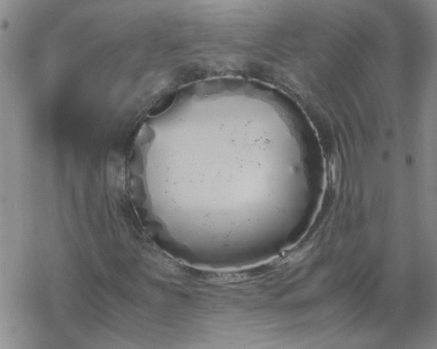 X0000069391251200605192205