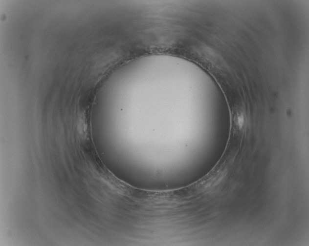 X0000069391252200605192205