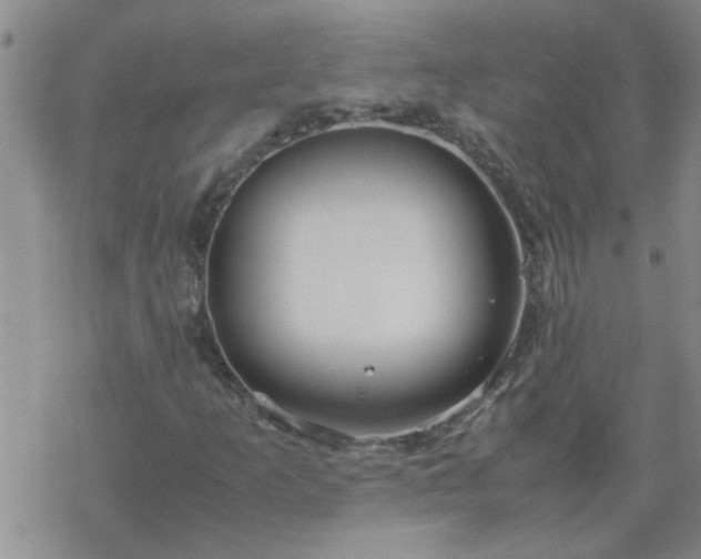 X0000069391253200605192205