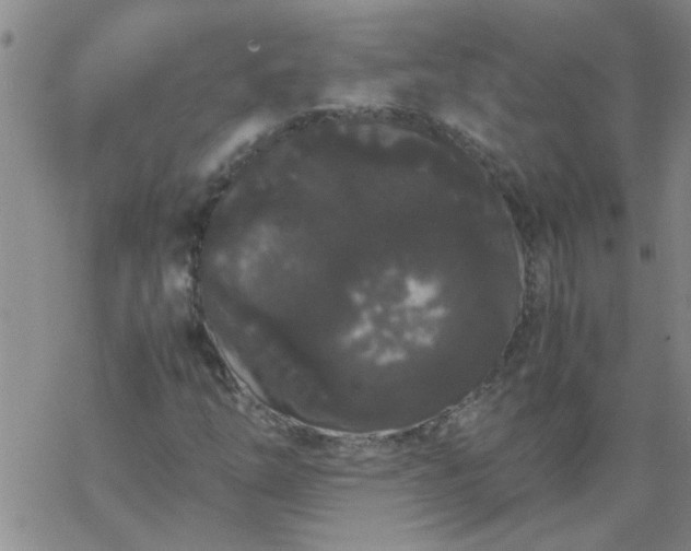 X0000069391254200605192205