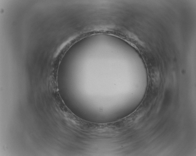 X0000069391256200605192205