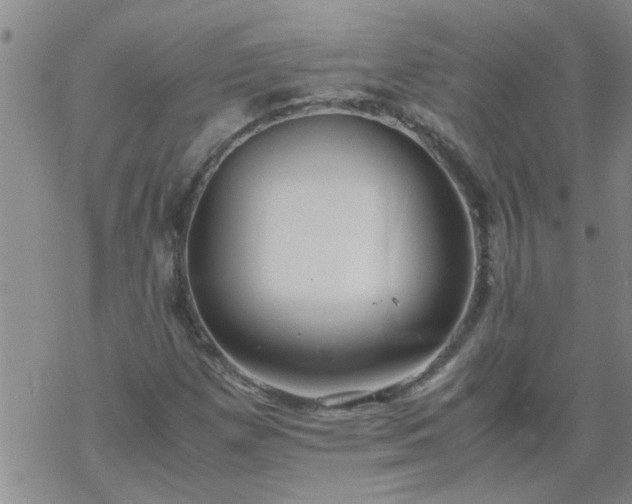 X0000069391257200605192205