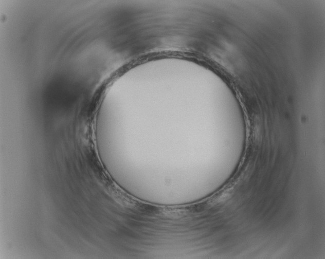 X0000069391258200605192205