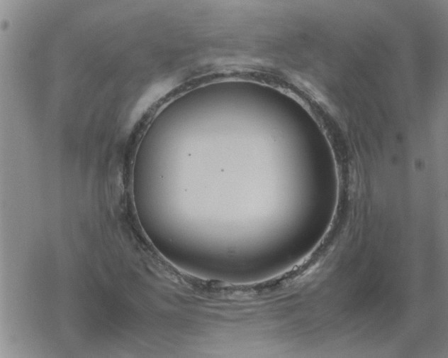 X0000069391261200605192205