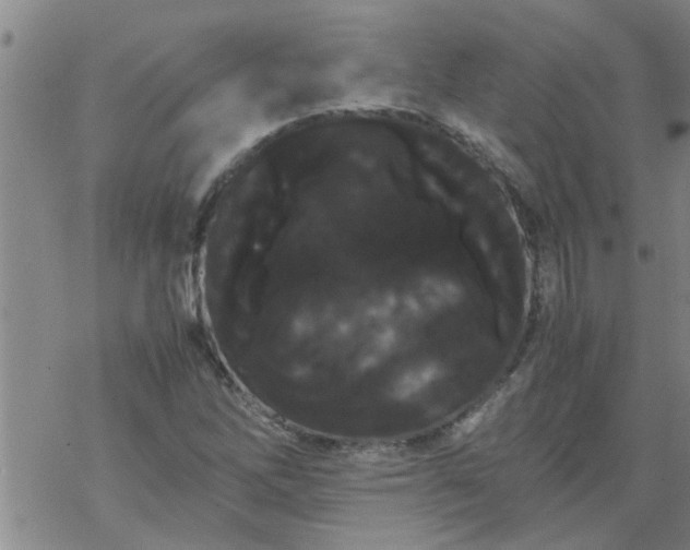 X0000069391262200605192205