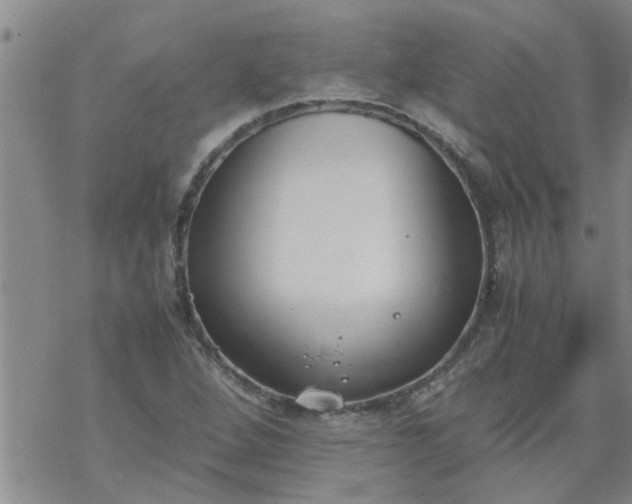 X0000069391264200605192205