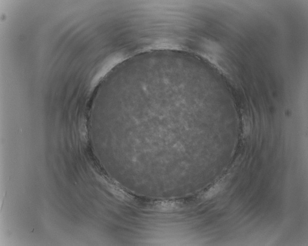 X0000069391266200605192205