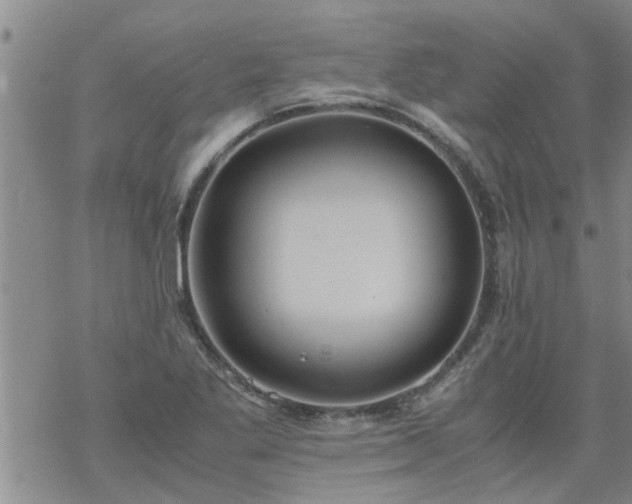 X0000069391269200605192205