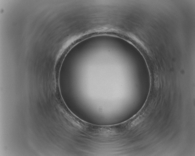 X0000069391270200605192205