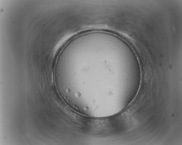 X0000069391271200605192205