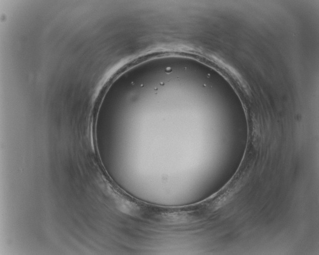 X0000069391272200605192205