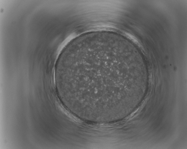 X0000069391275200605192205