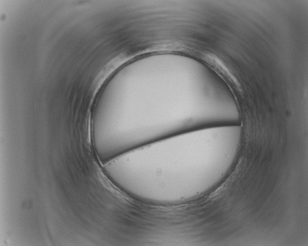 X0000069391276200605192205