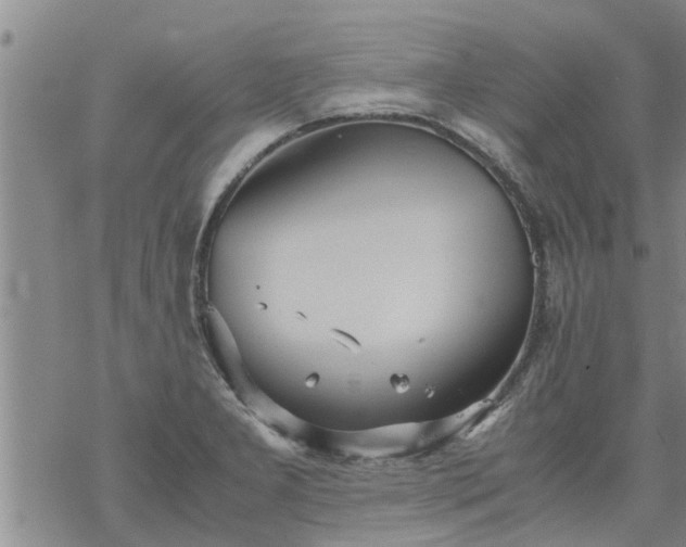 X0000069391277200605192205