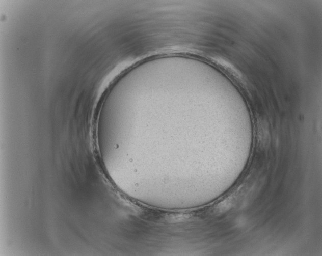 X0000069391278200605192205