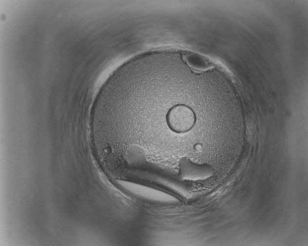 X0000069391279200605192205