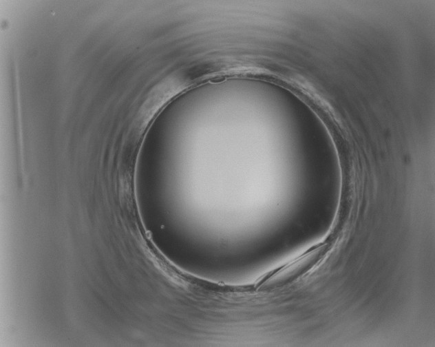 X0000069391281200605192205