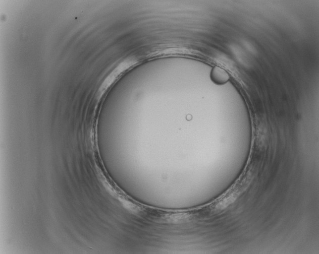 X0000069391282200605192205