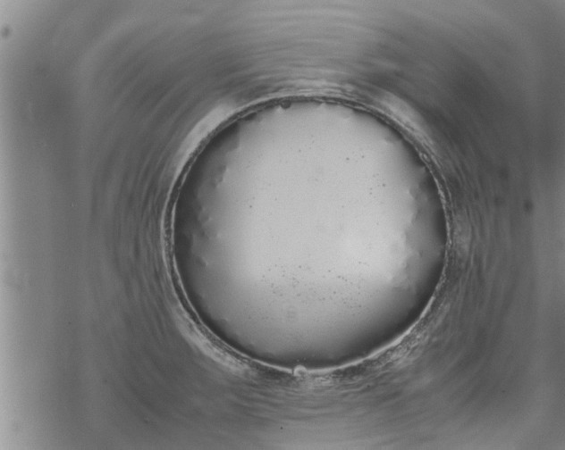 X0000069391283200605192205