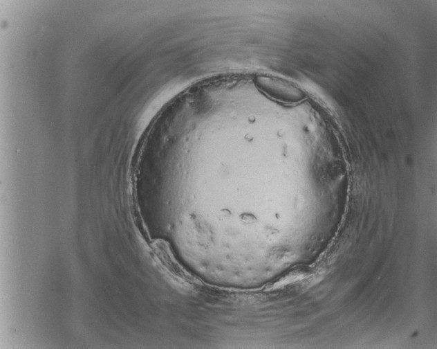 X0000069391287200605192204