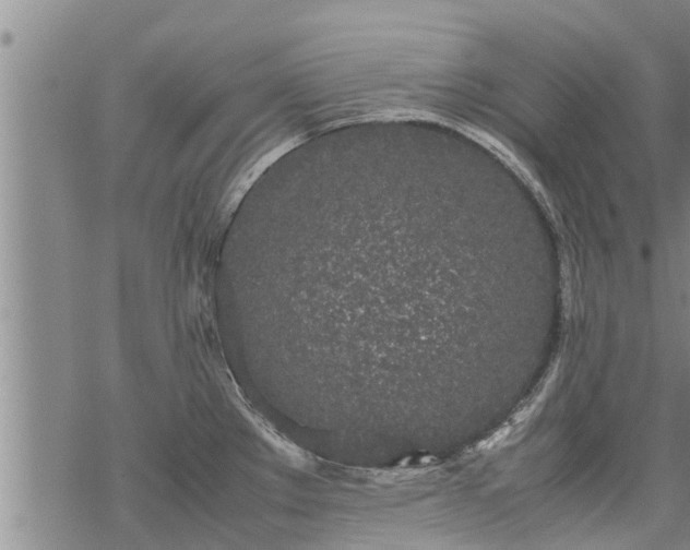 X0000069391289200605192204