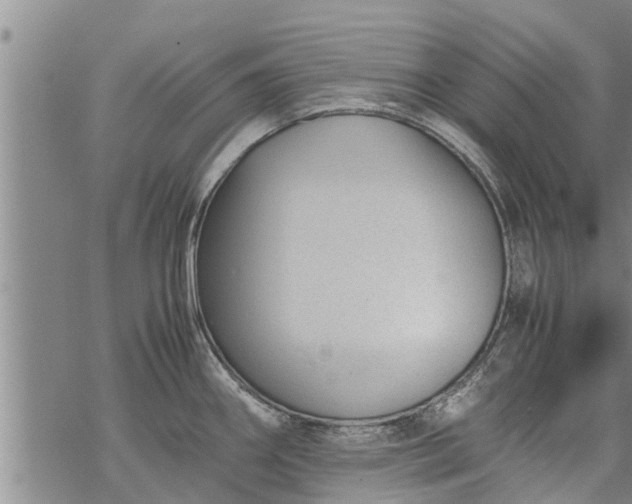 X0000069391290200605192204