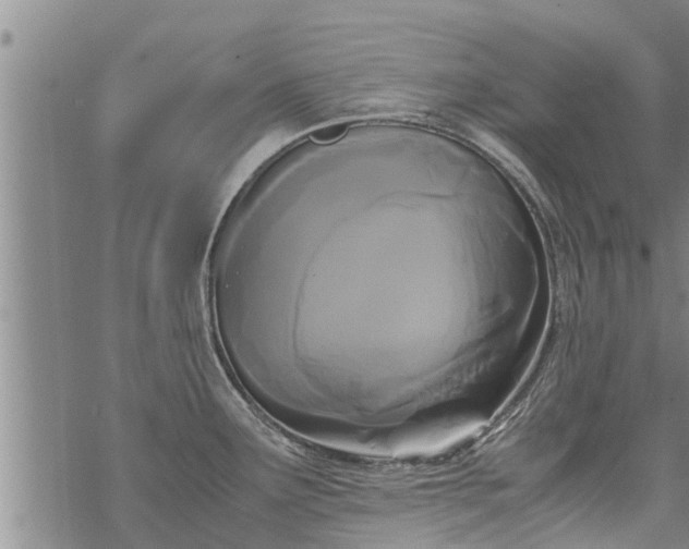 X0000069391291200605192204