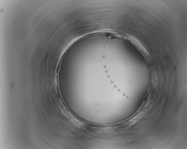 X0000069391292200605192204