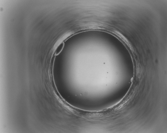 X0000069391293200605192204