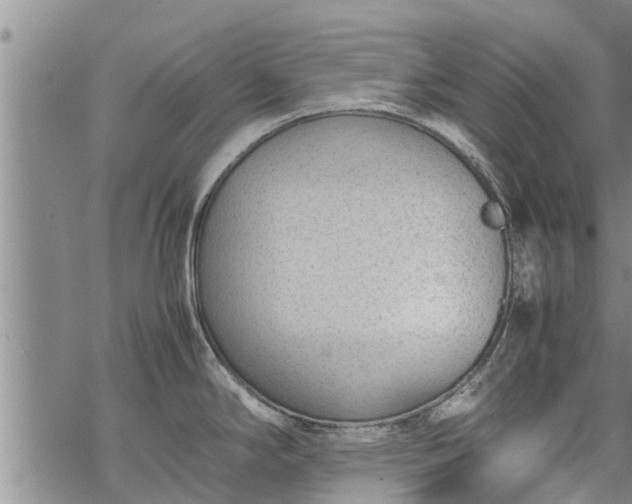 X0000069391294200605192204