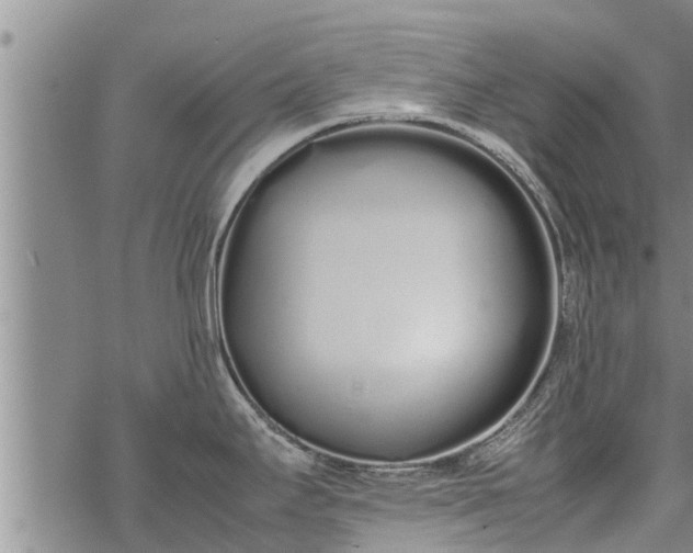 X0000069391295200605192204