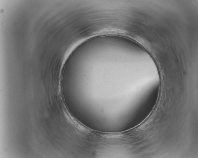 X0000069391296200605192204