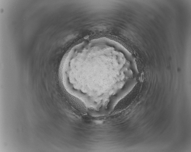 X0000069391297200605192204