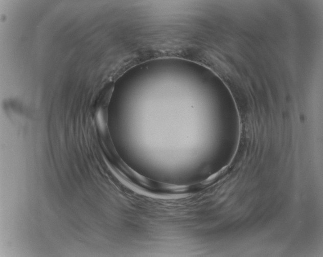 X0000069391298200605192204