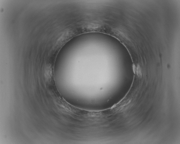 X0000069391299200605192204