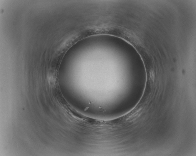 X0000069391300200605192204