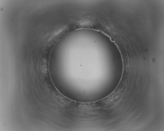 X0000069391301200605192204