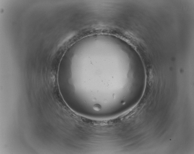 X0000069391302200605192204