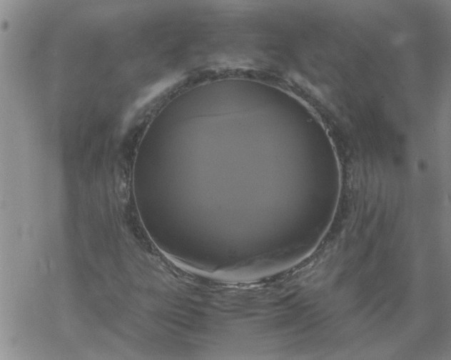 X0000069391303200605192204