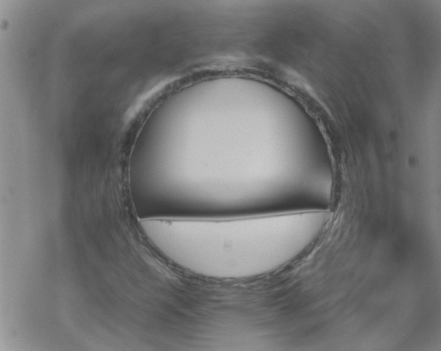 X0000069391304200605192204