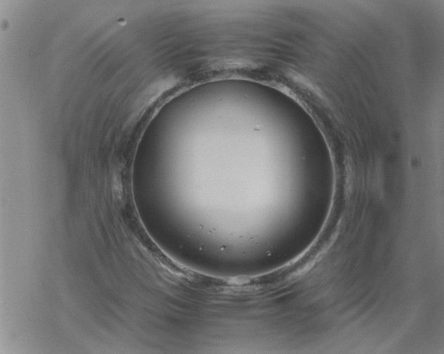 X0000069391305200605192204