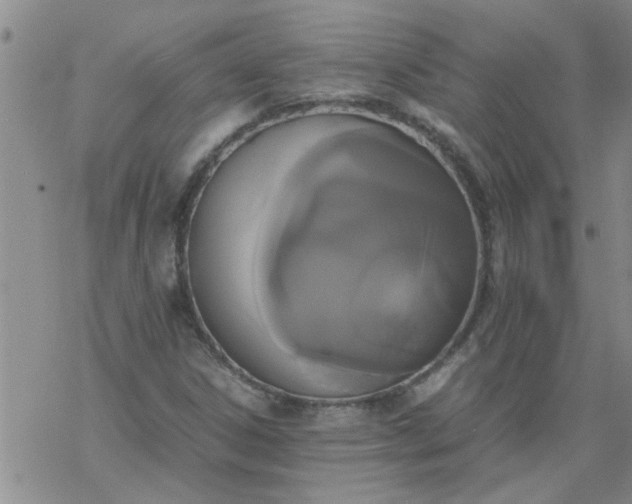 X0000069391306200605192204