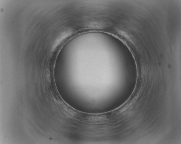 X0000069391307200605192204