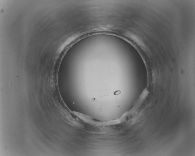 X0000069391308200605192204