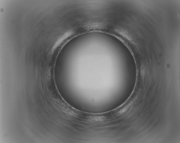 X0000069391309200605192204