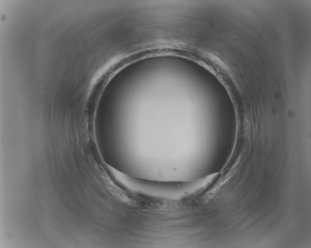 X0000069391310200605192204